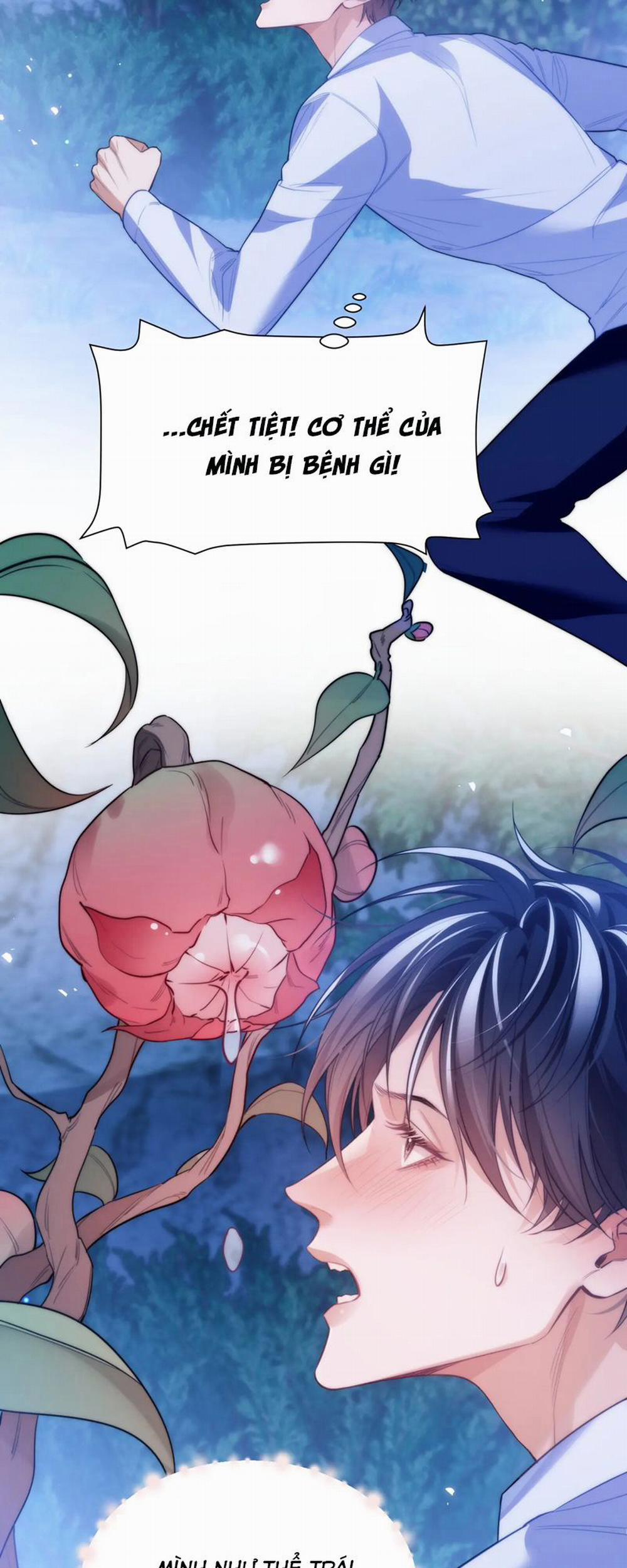 Desharow Nhân Ngư 62 trang 13