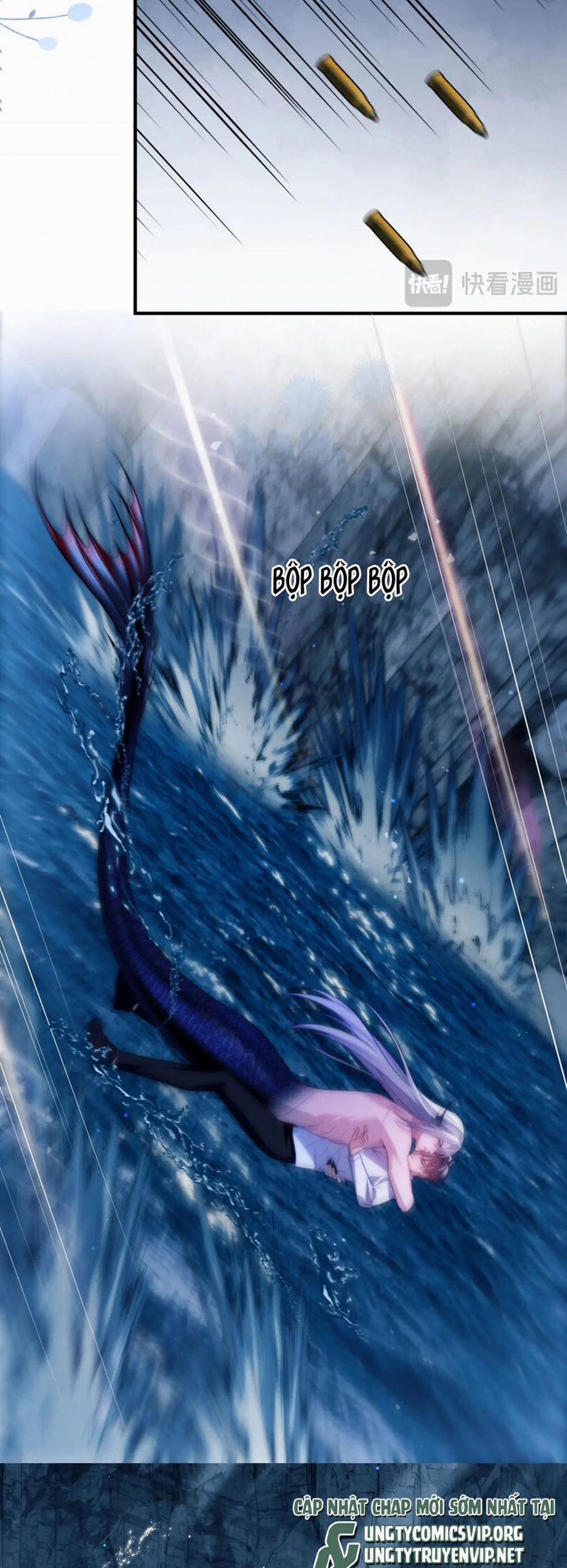 Desharow Nhân Ngư 65 trang 5