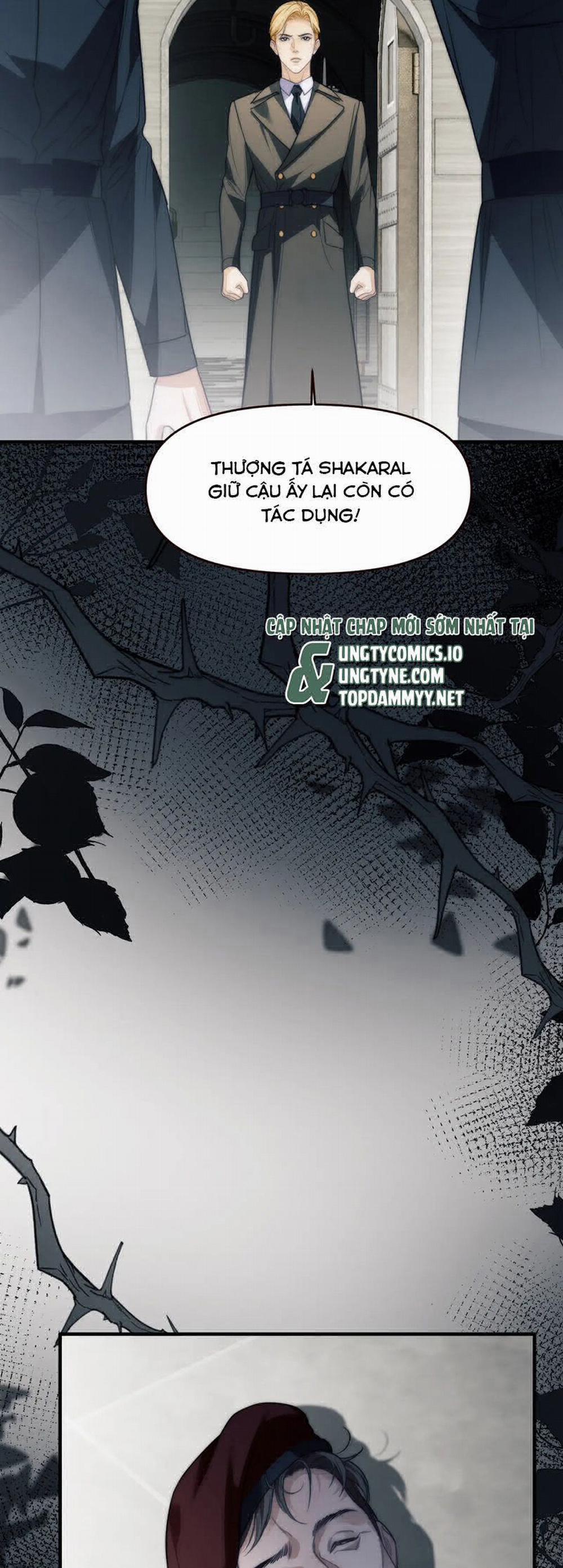 Desharow Nhân Ngư 67 trang 19