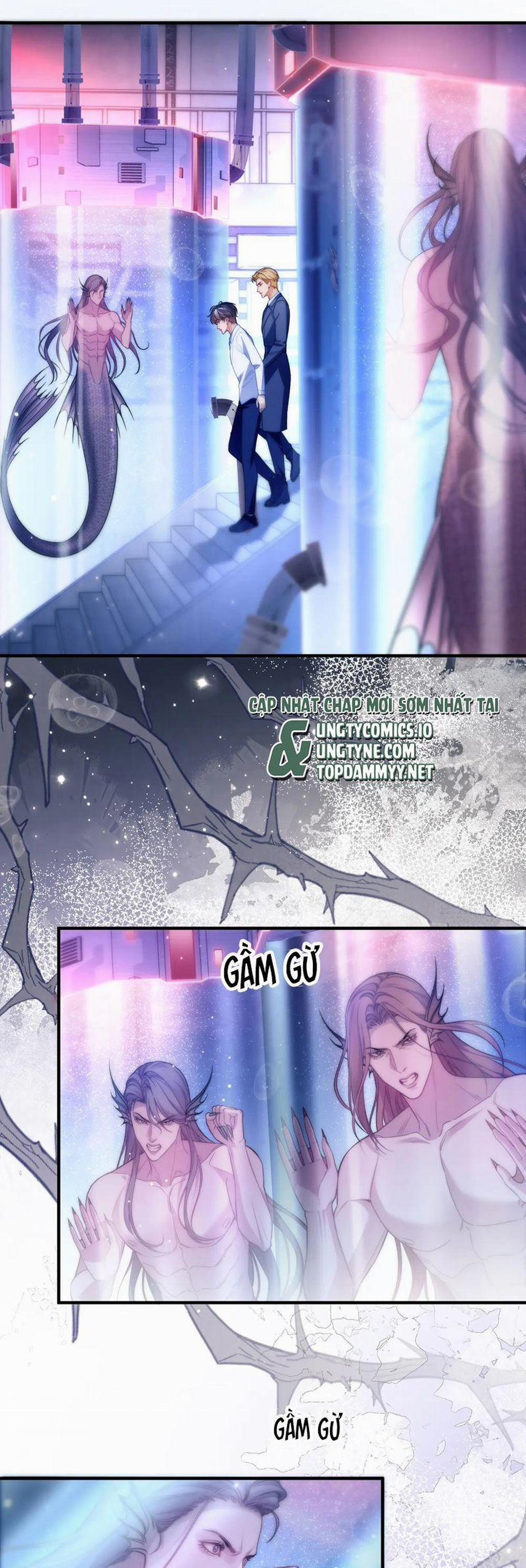 Desharow Nhân Ngư 68 trang 1