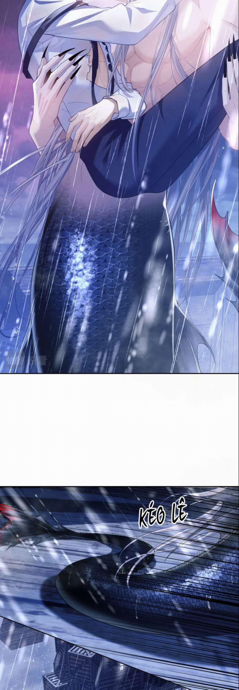 Desharow Nhân Ngư 7 trang 14