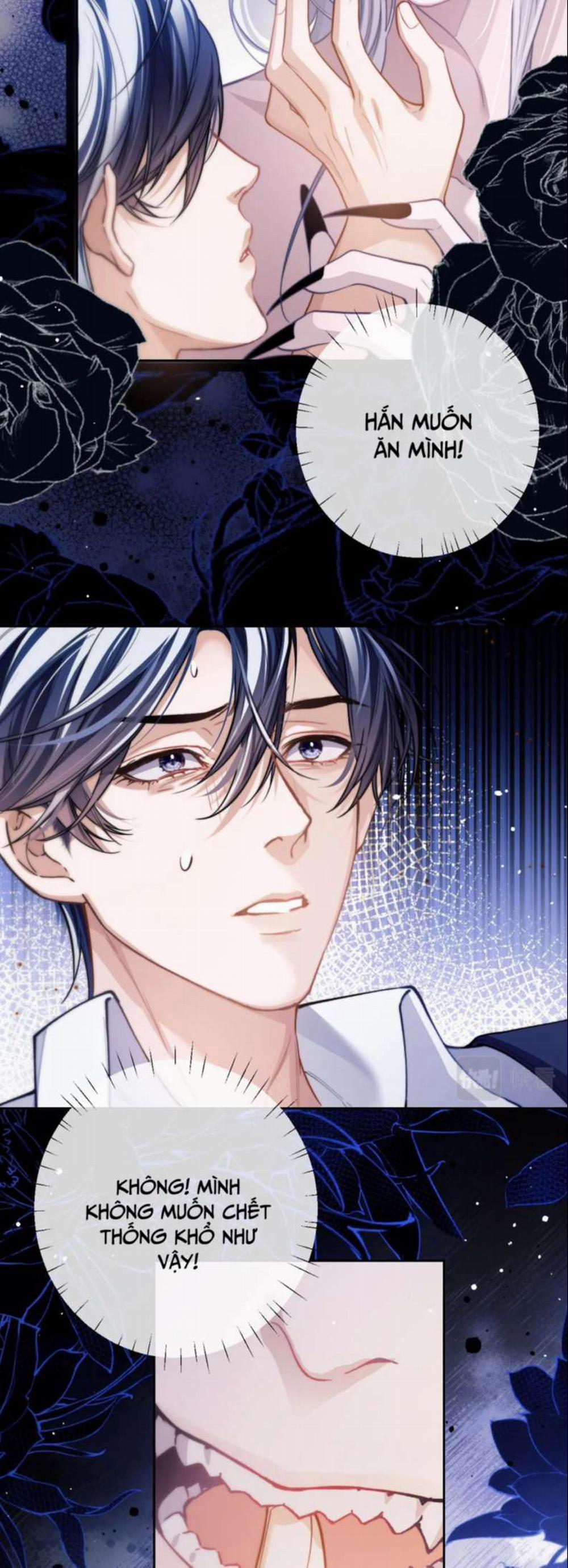 Desharow Nhân Ngư 7 trang 5