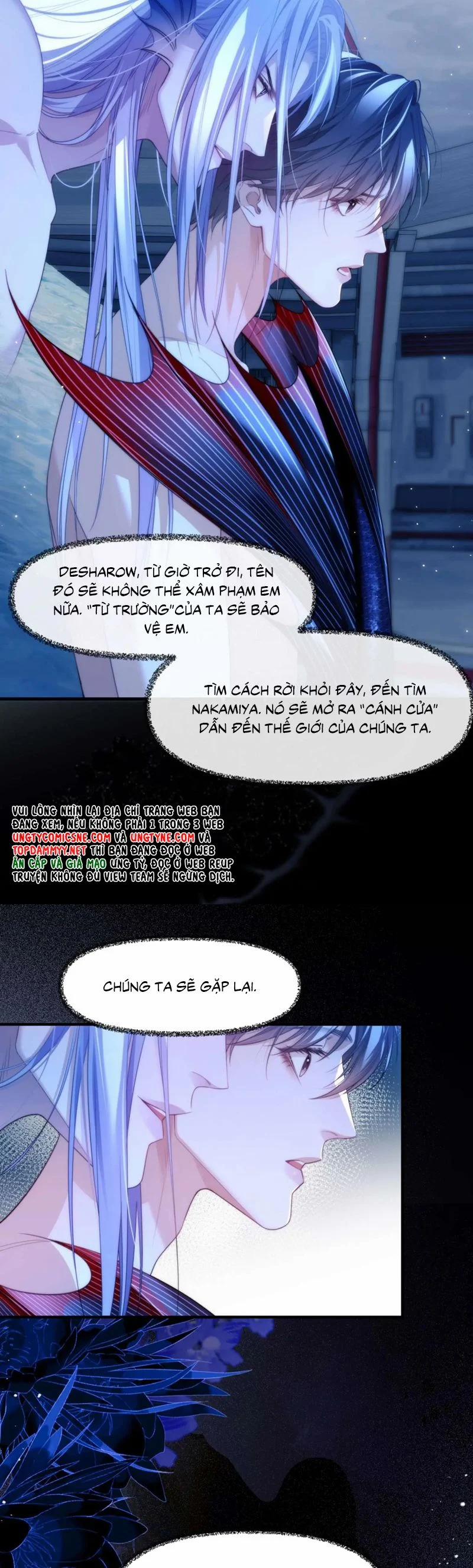 Desharow Nhân Ngư 79 trang 5