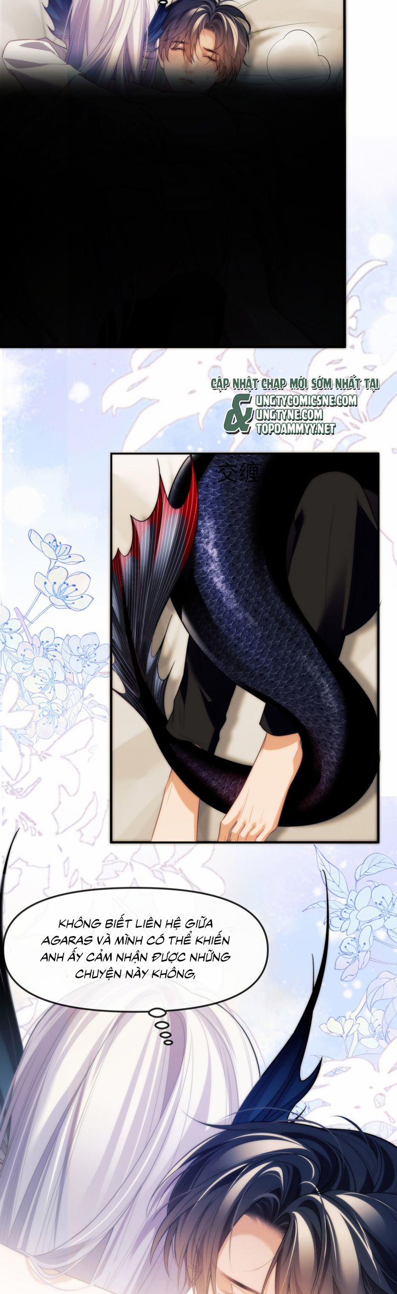 Desharow Nhân Ngư 81 trang 1