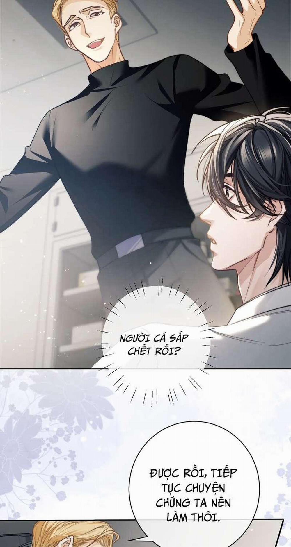 Desharow Nhân Ngư 9 trang 1