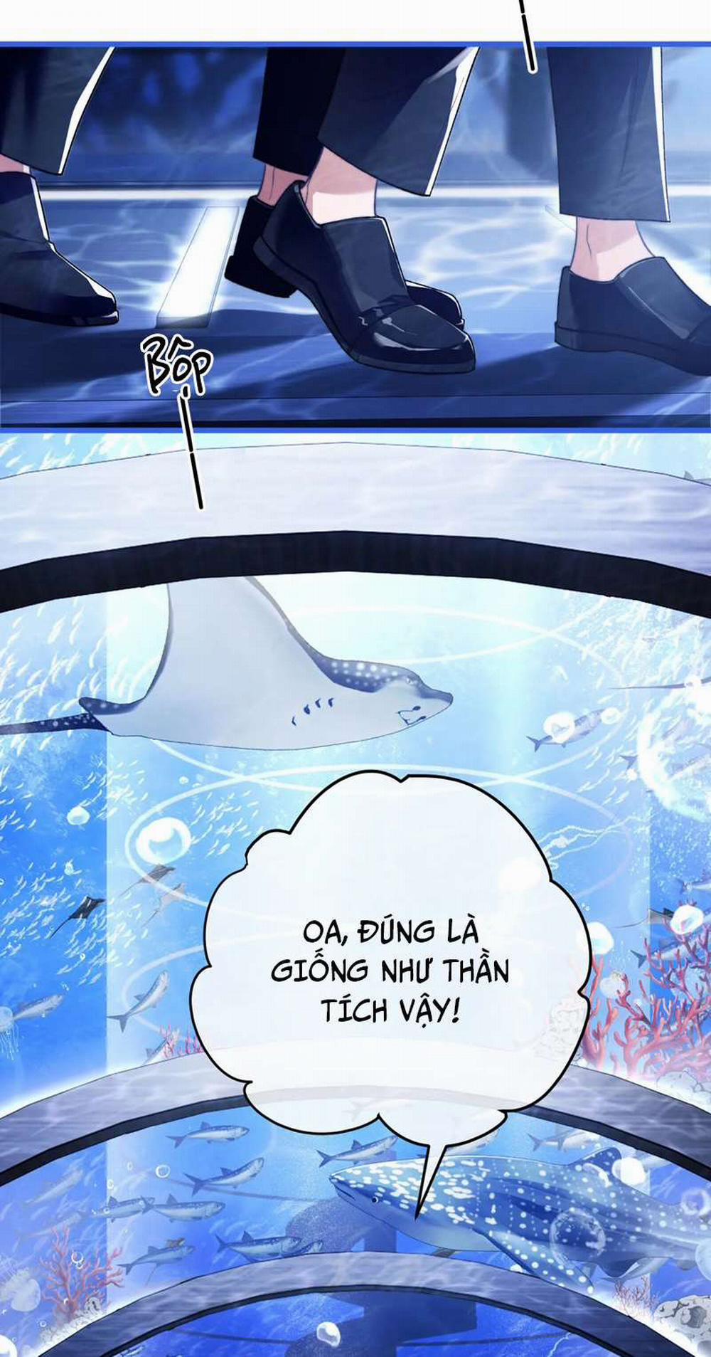 Desharow Nhân Ngư 9 trang 24