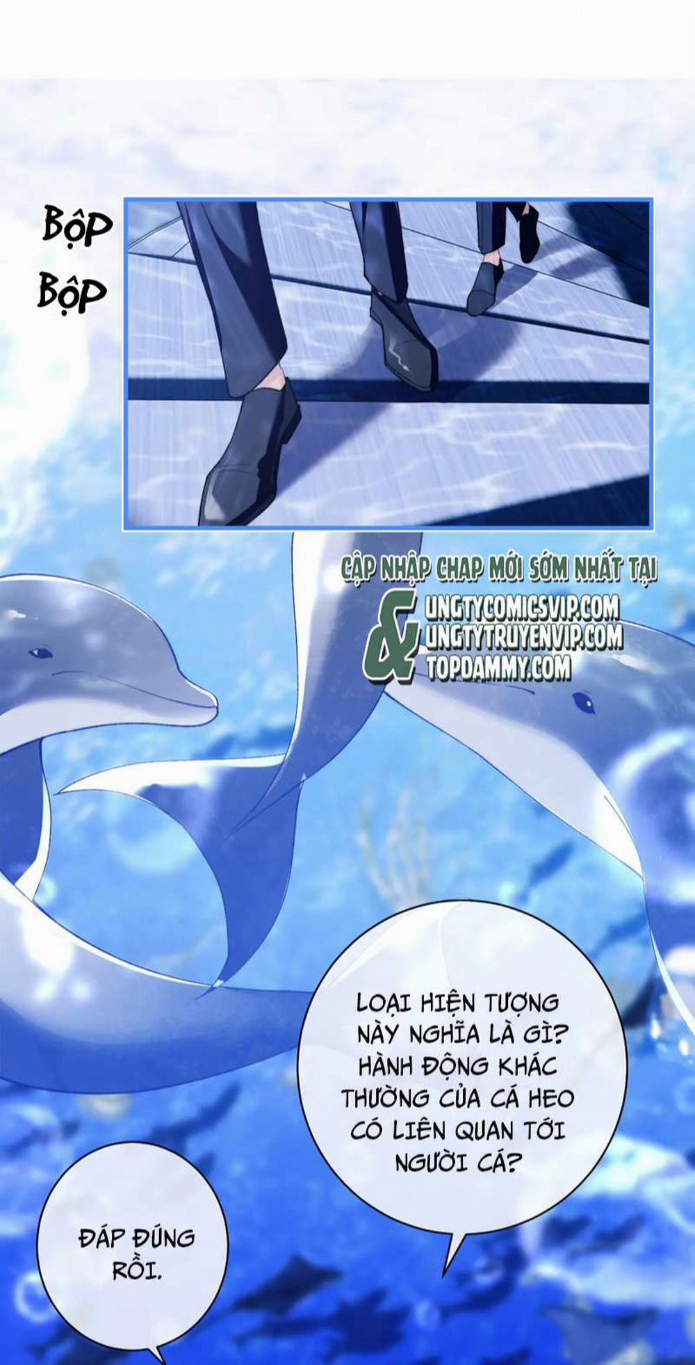 Desharow Nhân Ngư 9 trang 28