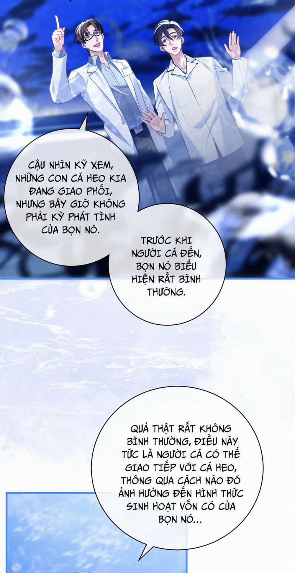 Desharow Nhân Ngư 9 trang 29