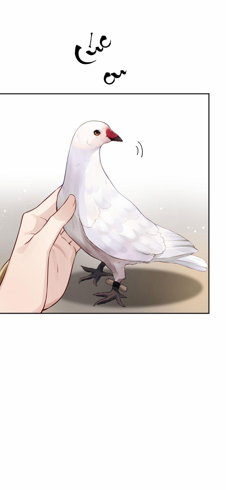 Đều Là Xuyên Việt Dựa Vào Cái Gì Ta Thành Phạm Nhân 17 trang 7