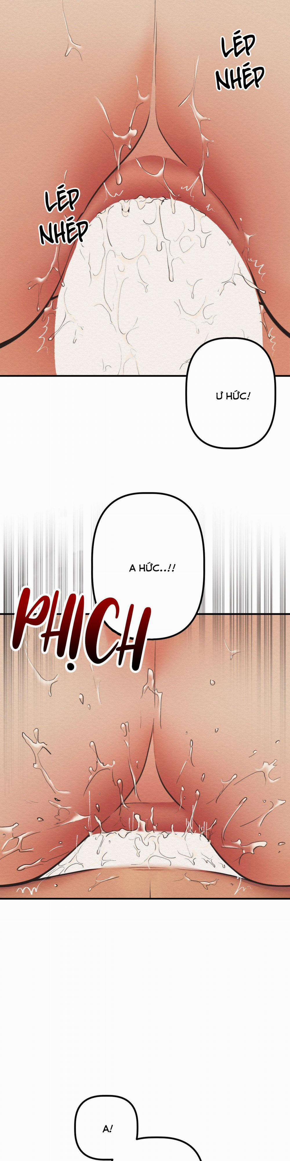 Devil On Top 23 trang 11