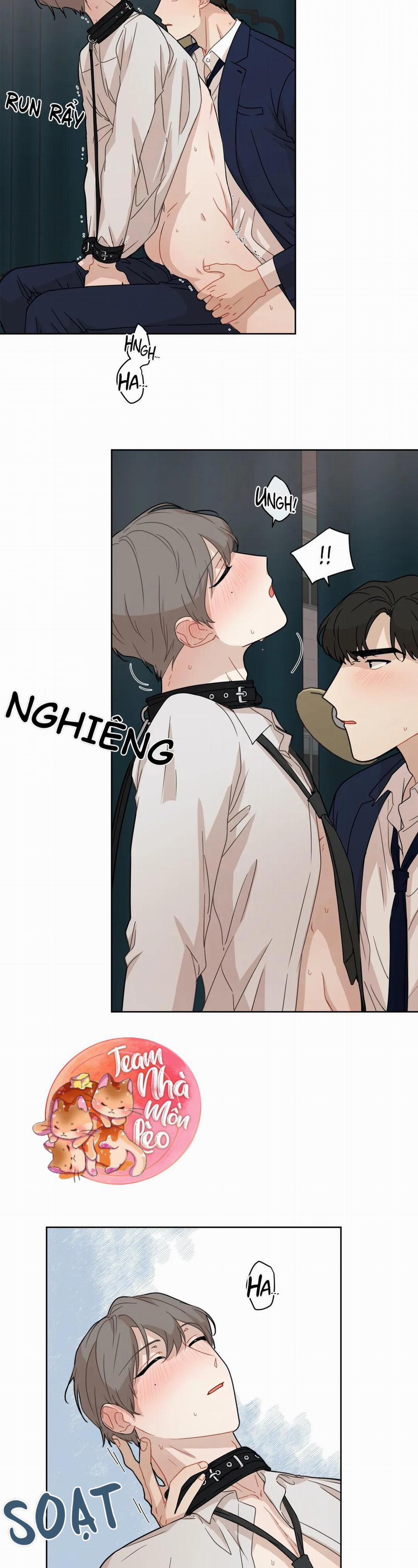 Địa Ngục Ngọt Ngào 11 trang 4