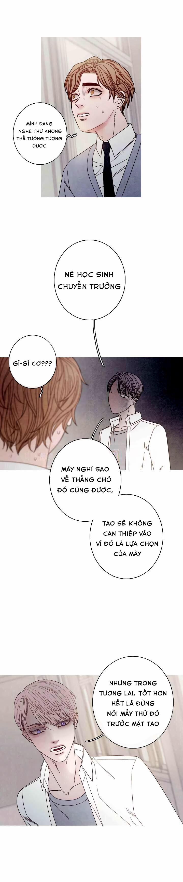 Điểm Đóng Băng 10 trang 17