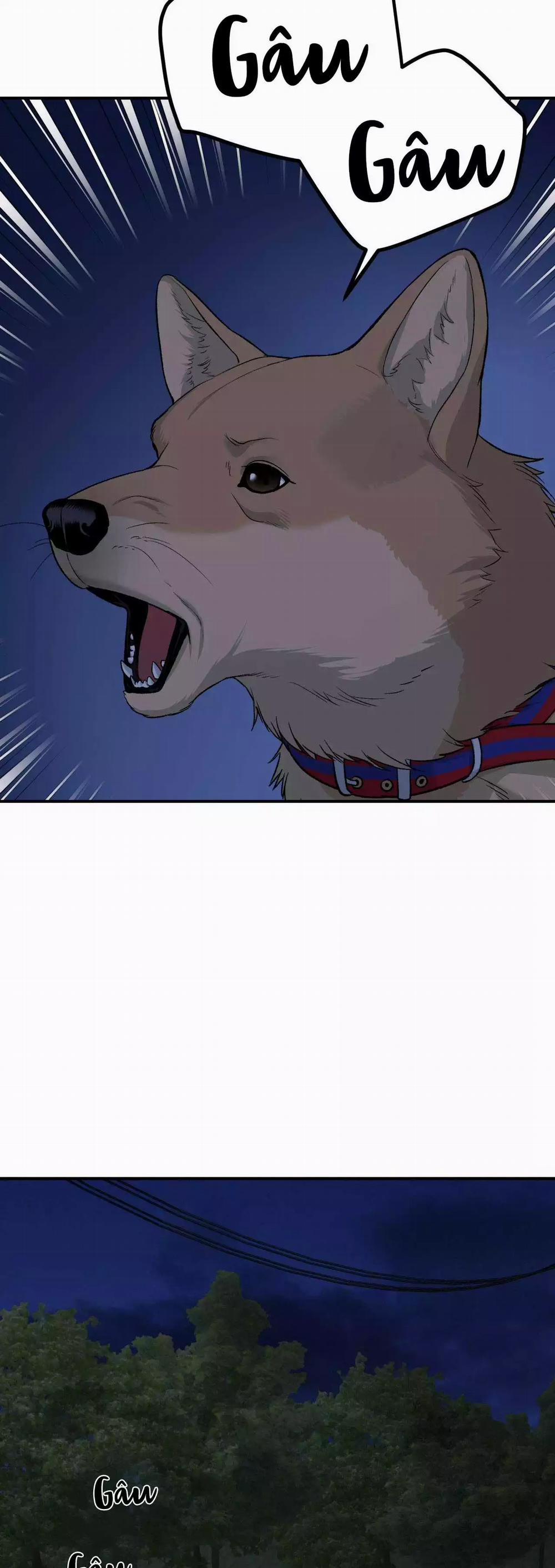 ĐIỀM RỦI 65 trang 46