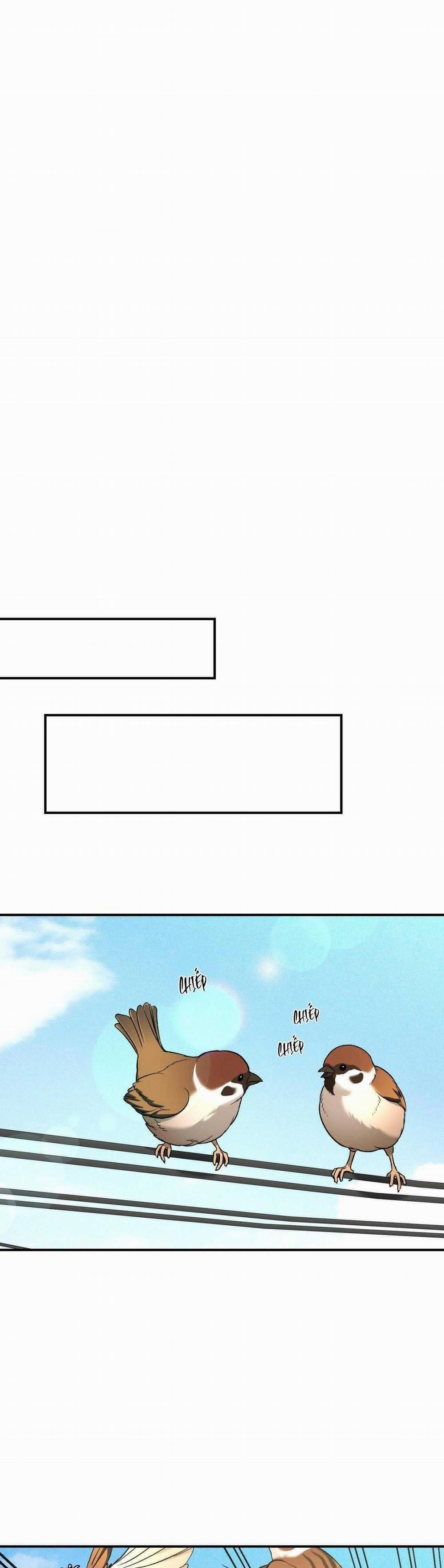 ĐIỀM RỦI 66 trang 46