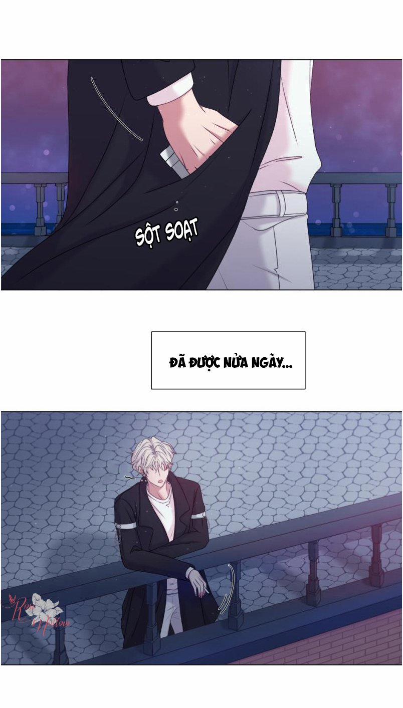 Điều Em Mong Đợi 5 trang 13