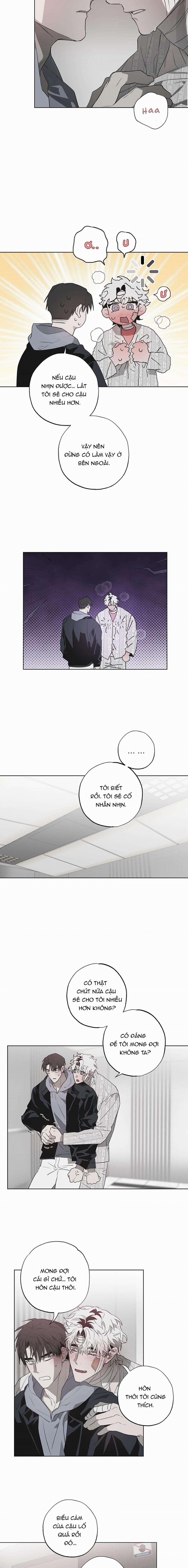 Điều Kì Lạ Trong Nhà 11 trang 13