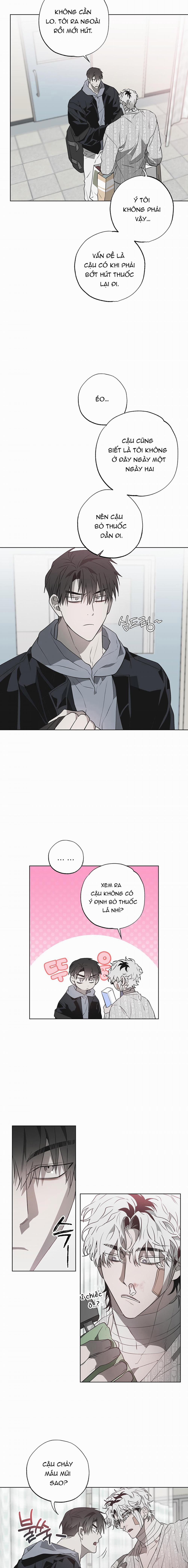 Điều Kì Lạ Trong Nhà 11 trang 4