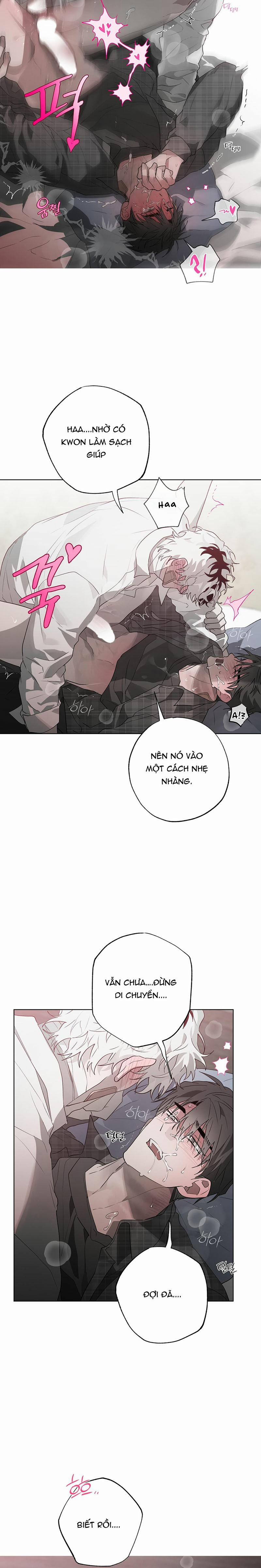 Điều Kì Lạ Trong Nhà 23 trang 14