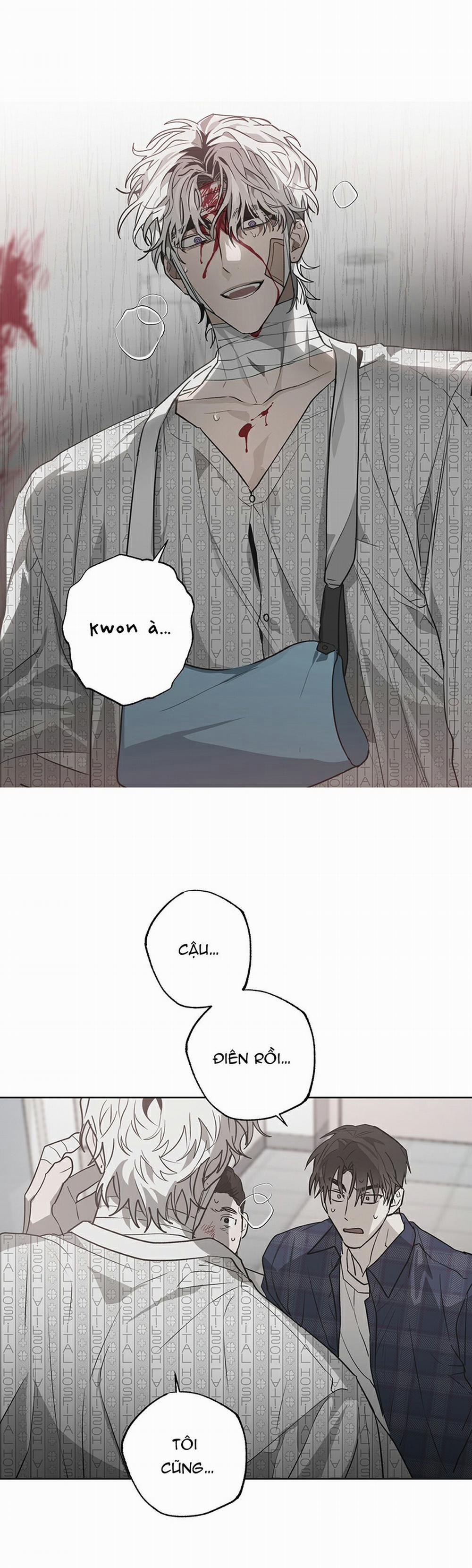 Điều Kì Lạ Trong Nhà 5 trang 14