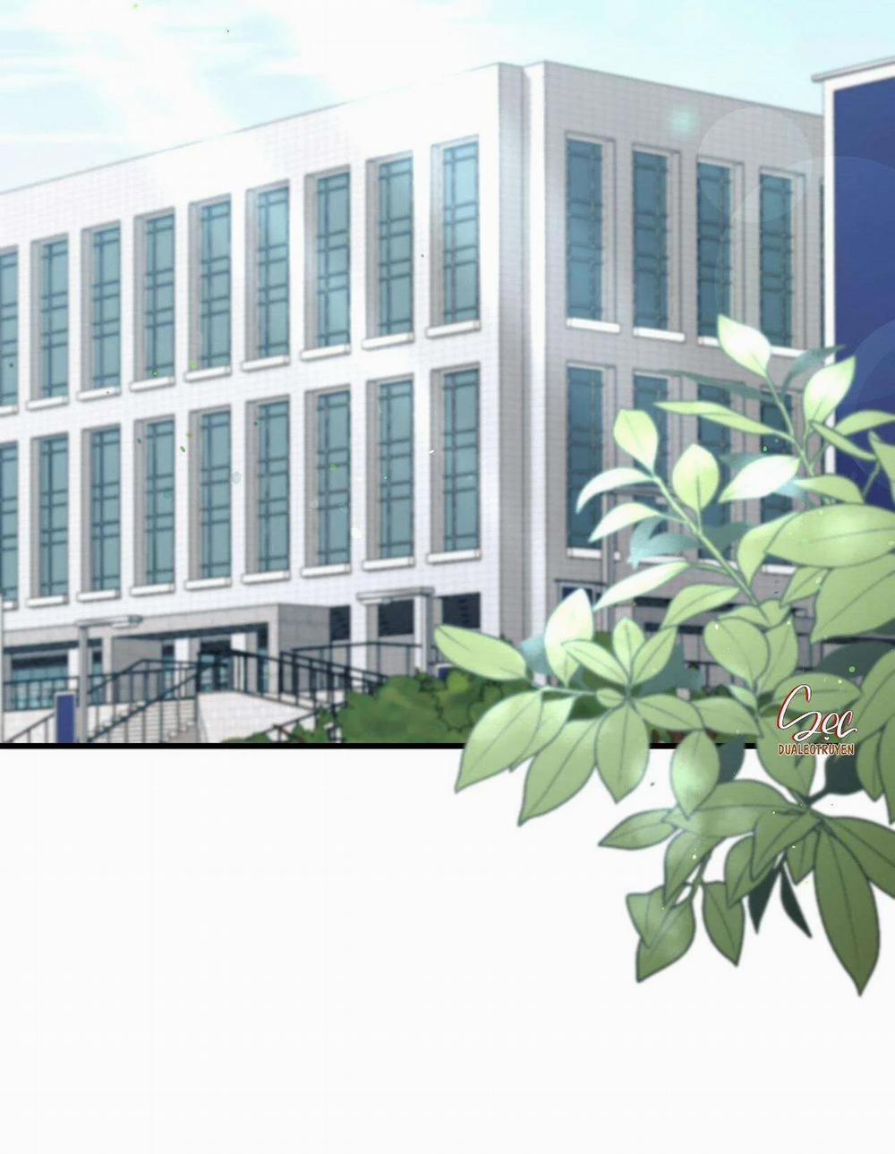 Điều Kiện Của Guide 29 trang 17