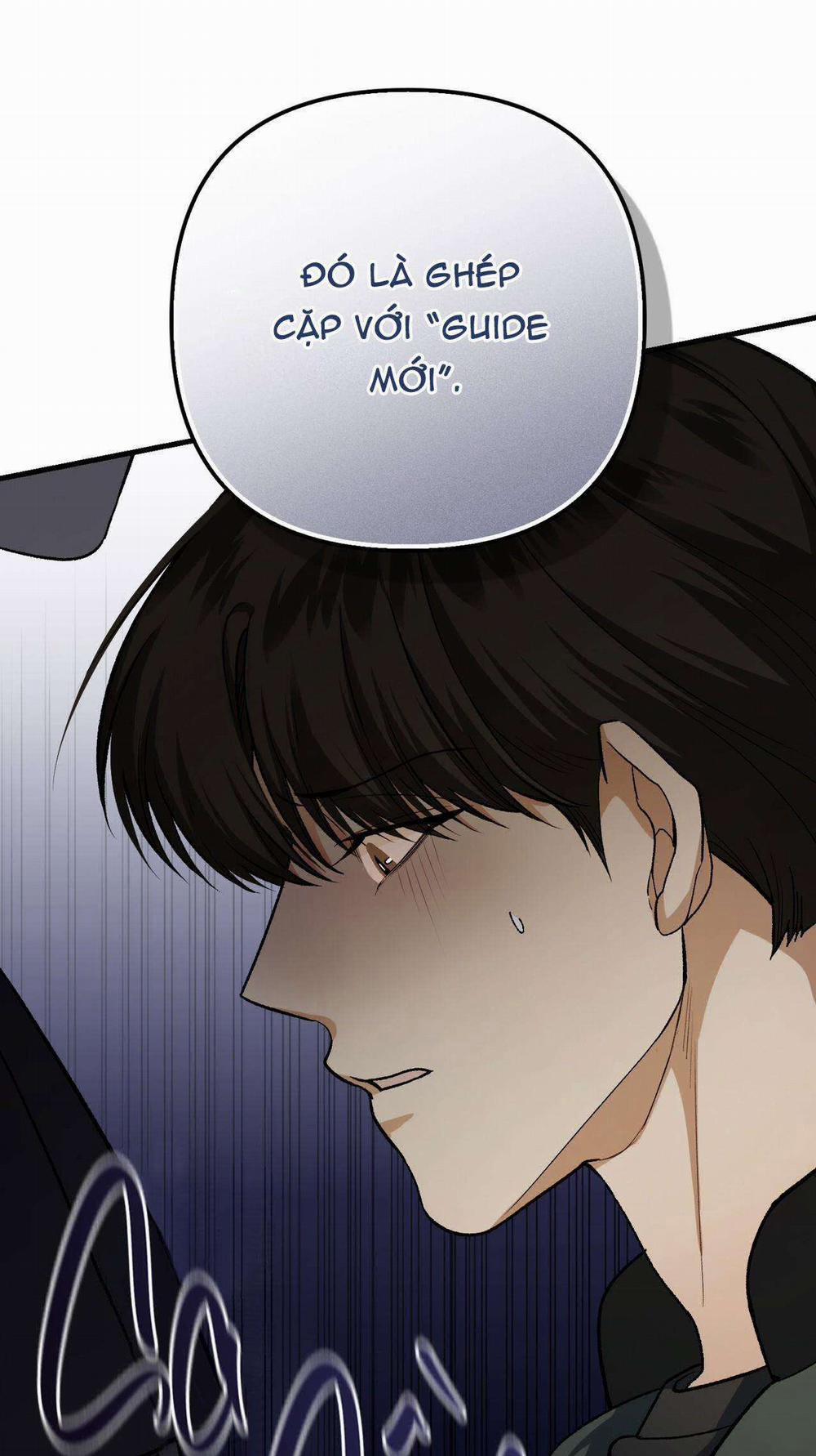 Điều Kiện Của Guide 31 trang 12