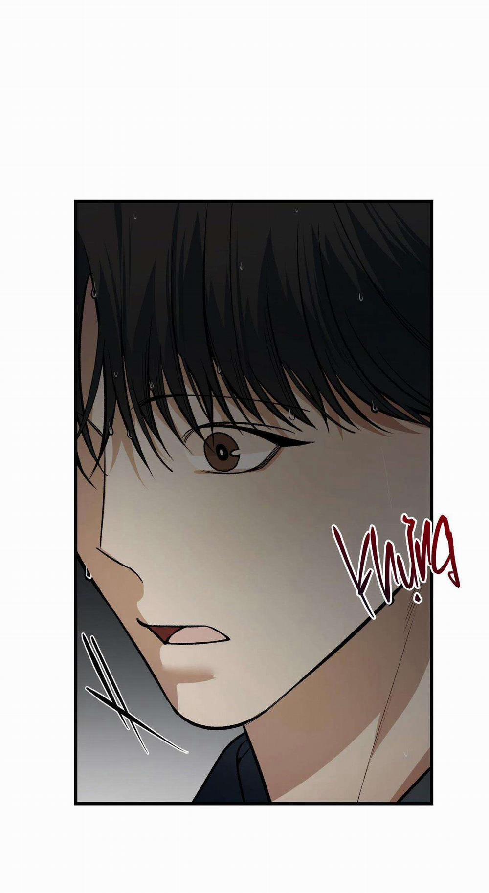 Điều Kiện Của Guide 33 trang 20