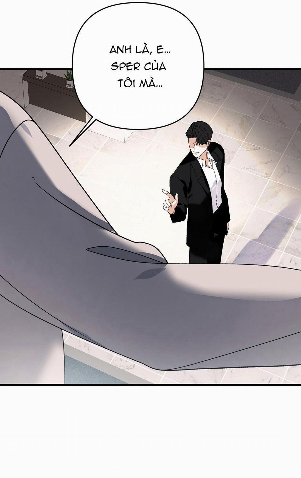 Điều Kiện Của Guide 43 trang 19