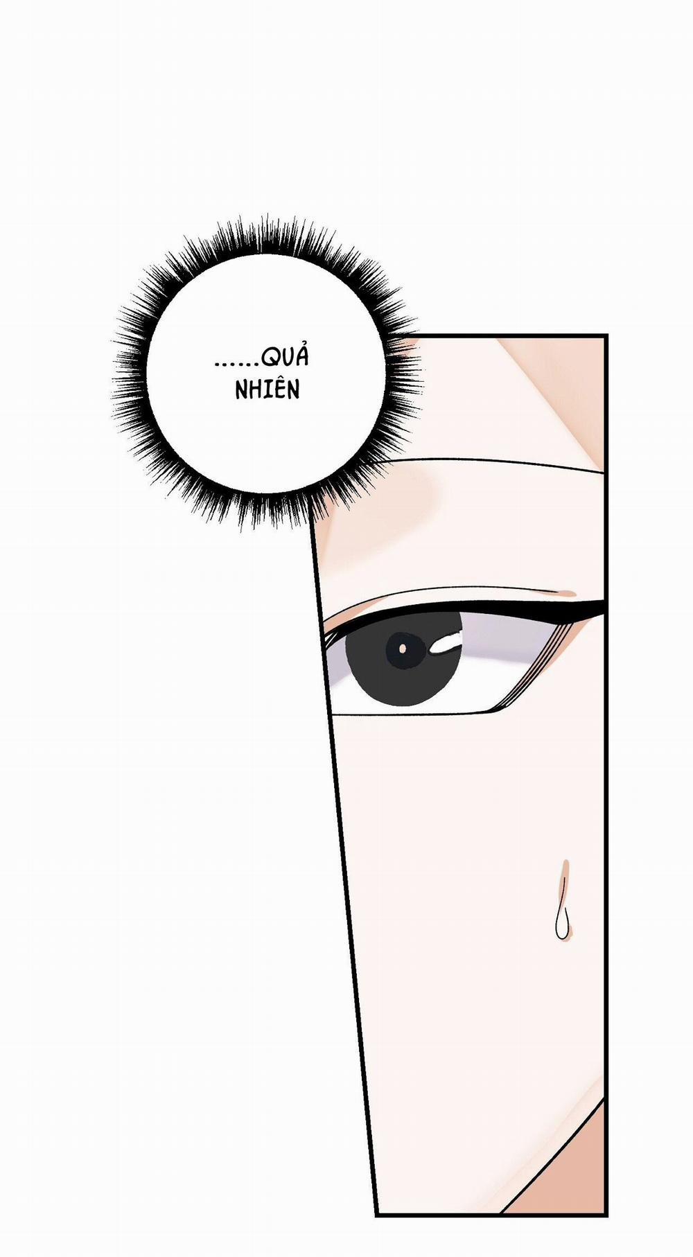 Điều Kiện Của Guide 47 trang 13