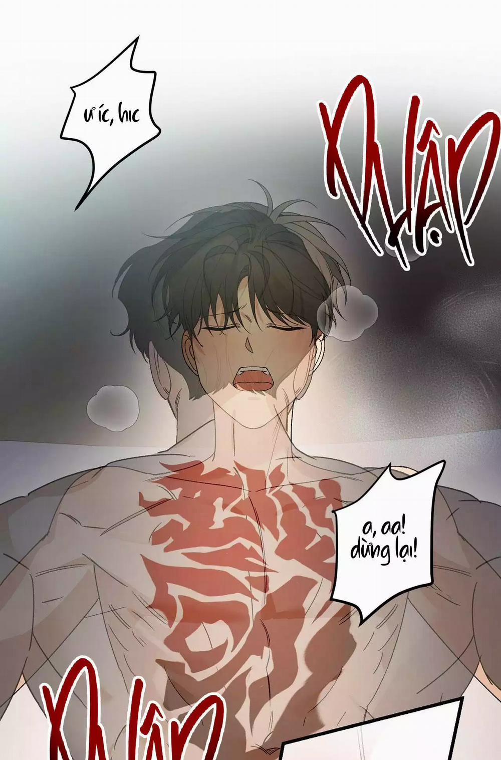 Điều Kiện Của Guide 51 trang 56