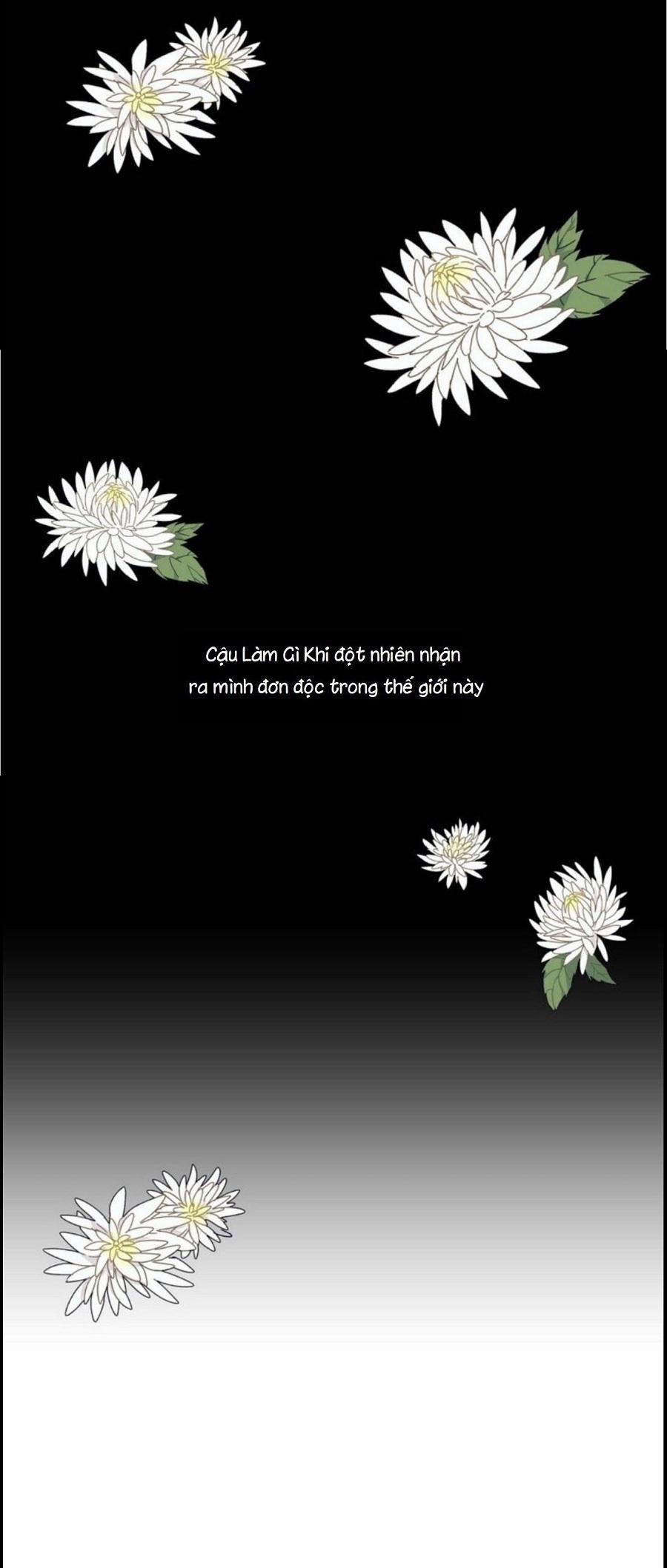 Điều Kỳ Diệu Ở Cậu 1 trang 0