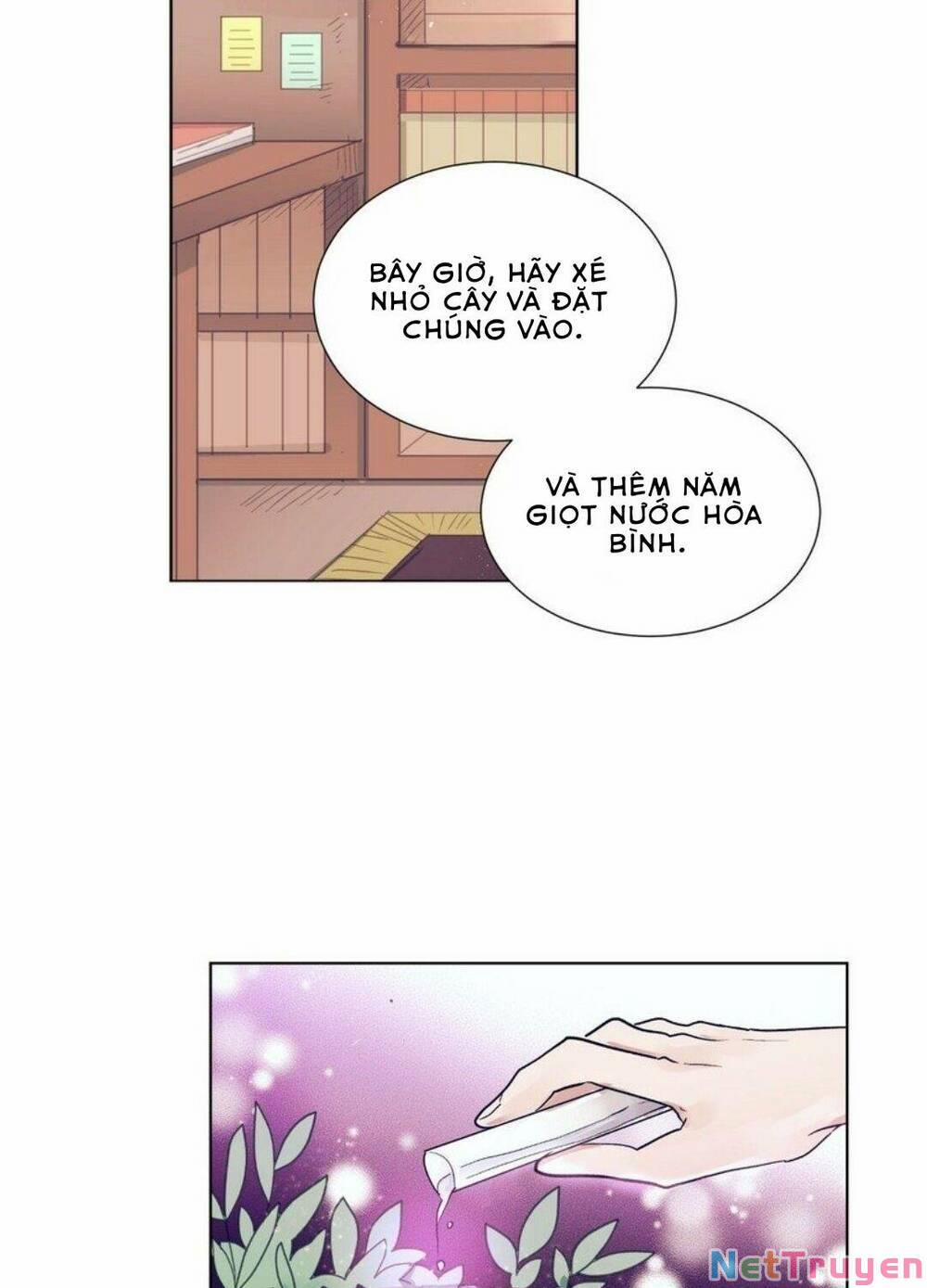 Điều Kỳ Diệu Ở Cậu 10 trang 2