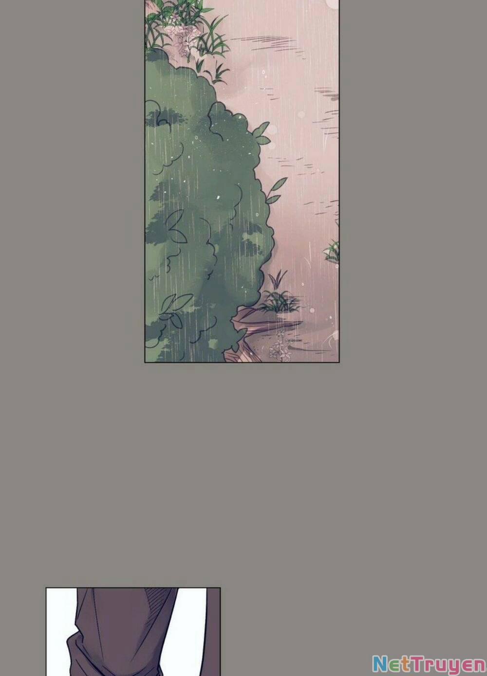 Điều Kỳ Diệu Ở Cậu 10 trang 35