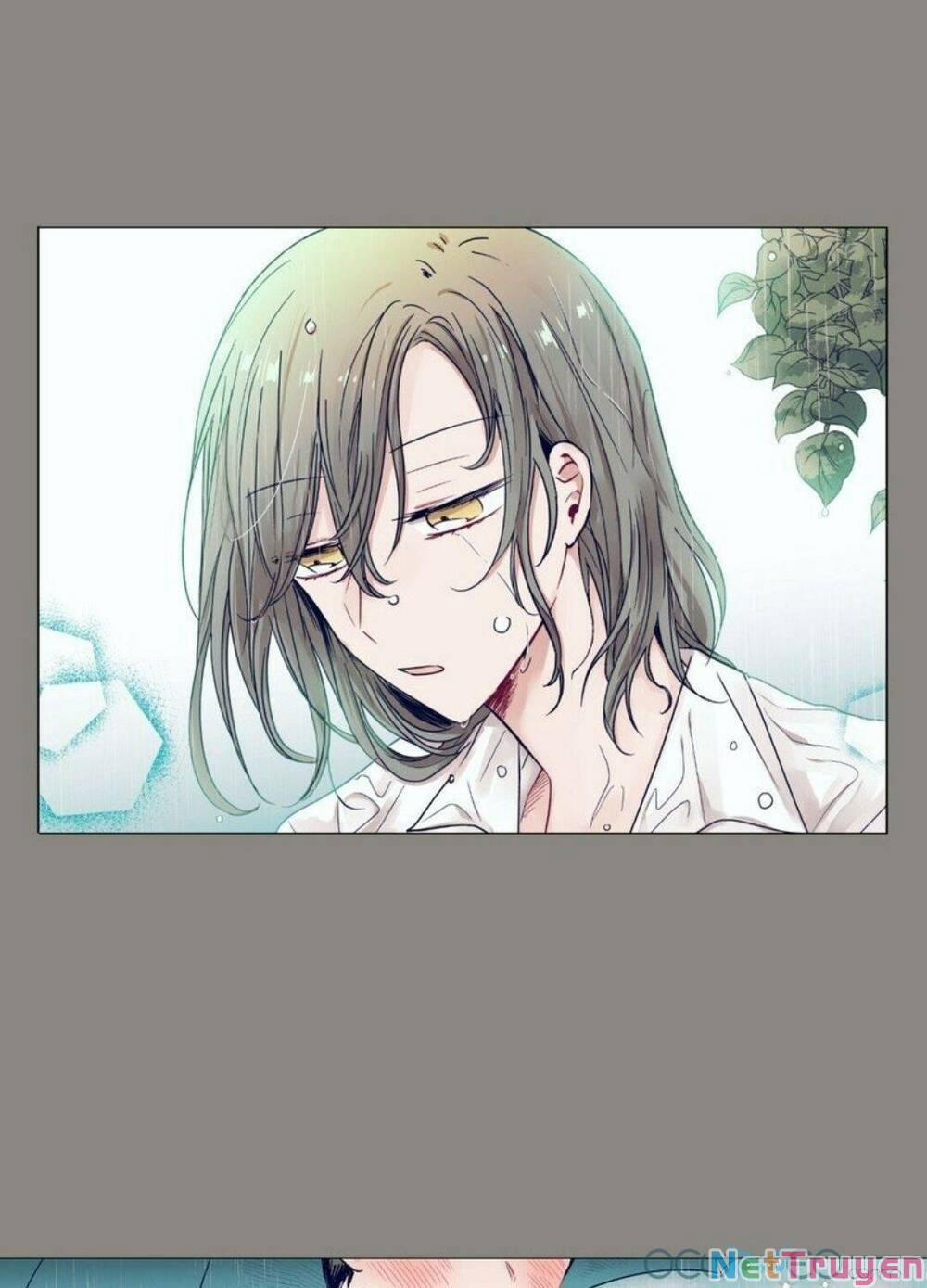 Điều Kỳ Diệu Ở Cậu 10 trang 38