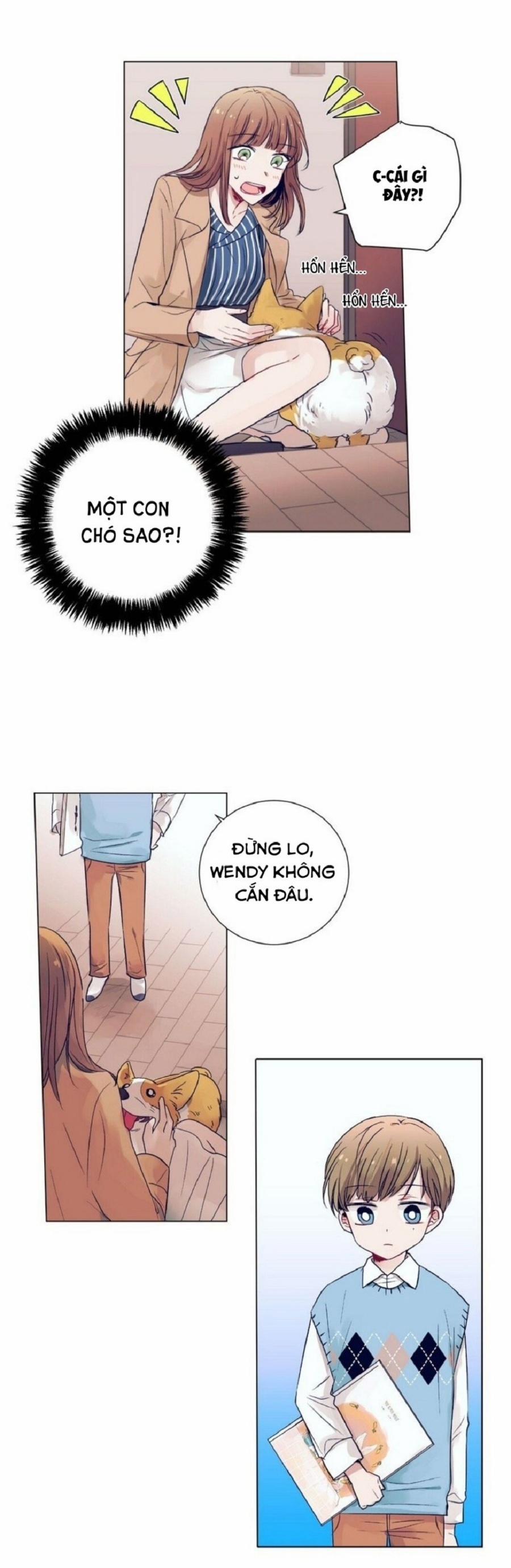 Điều Kỳ Diệu Ở Cậu 5 trang 17