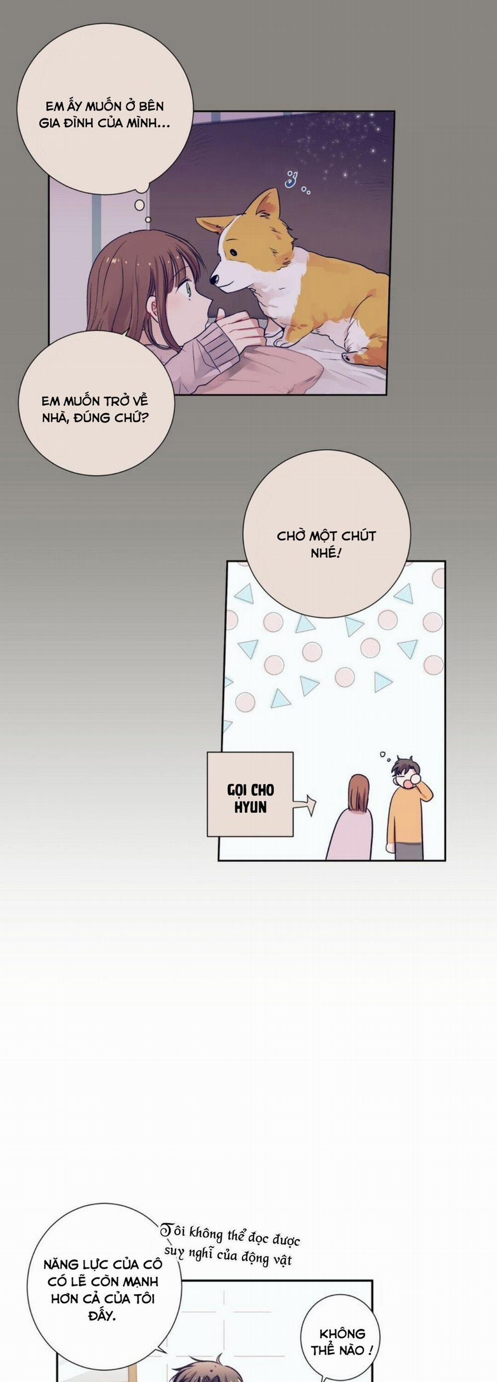 Điều Kỳ Diệu Ở Cậu 6 trang 12