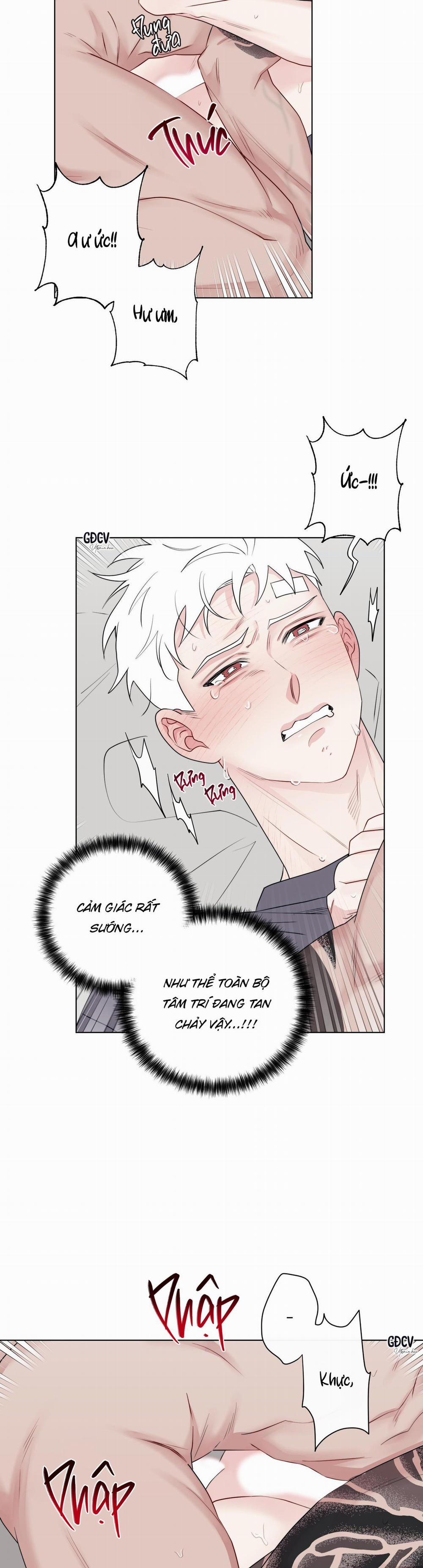 Dính Chặt Mất Rồi!!! 10 trang 24