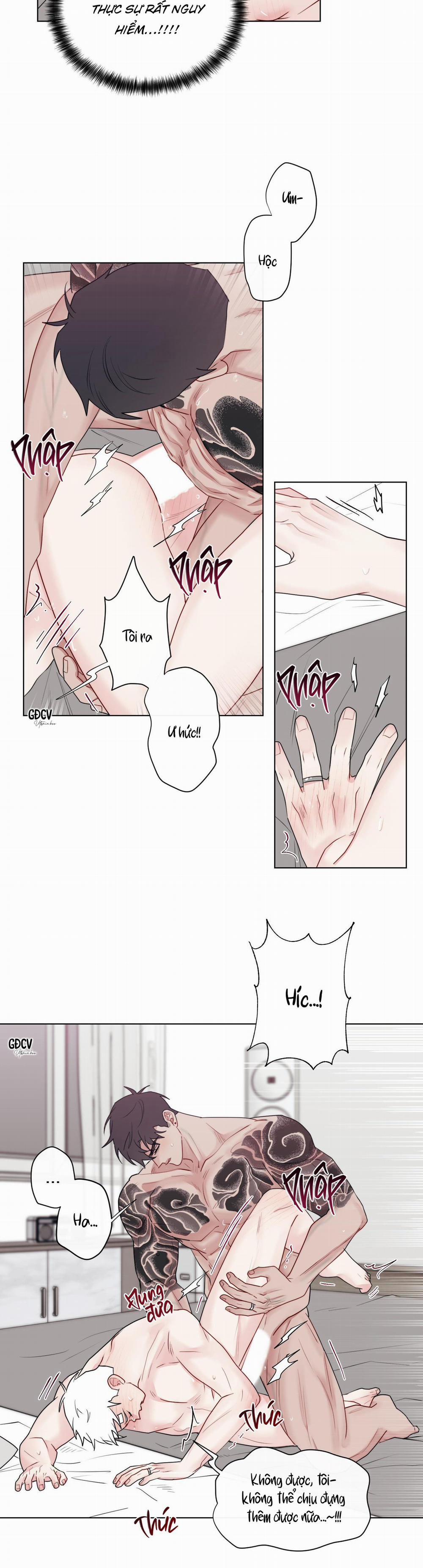 Dính Chặt Mất Rồi!!! 11 trang 15