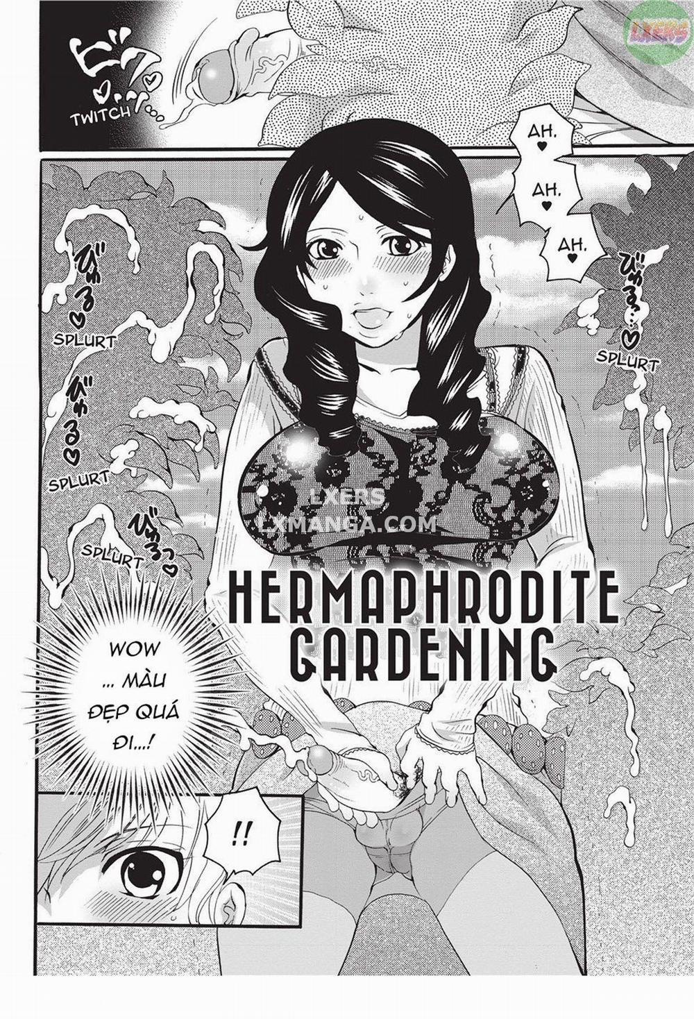 Disciplinarian 3 trang 1