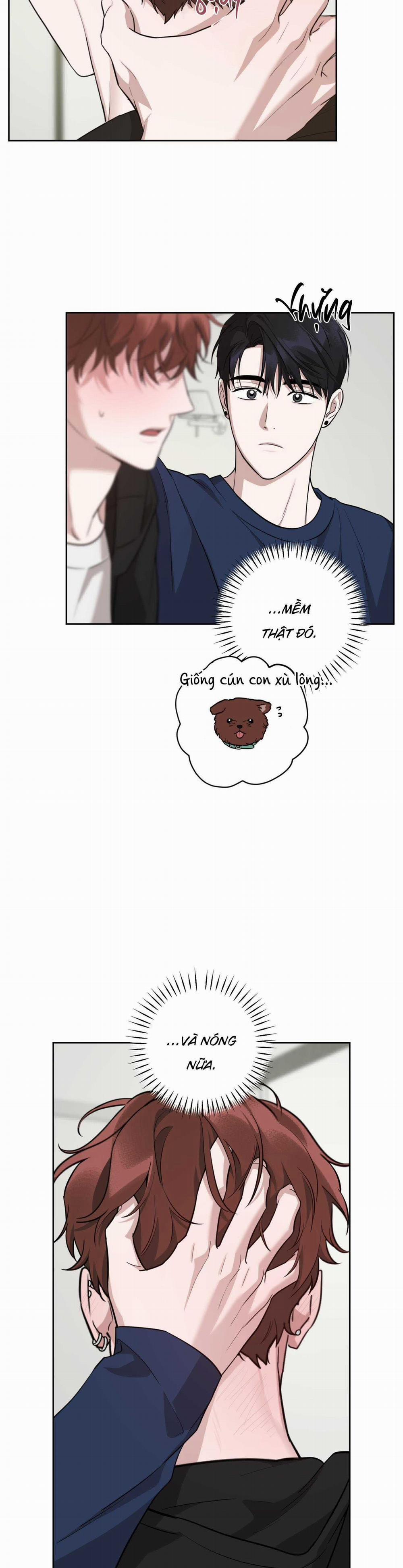 Diss Love 14 trang 4