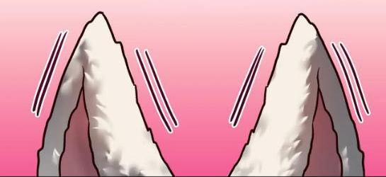 Đồ chơi tình dục: cách dạy dỗ người mới ngực to 6 trang 38