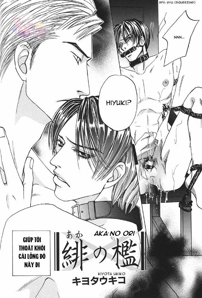 Đồ Chơi Tình Thú 1 trang 2