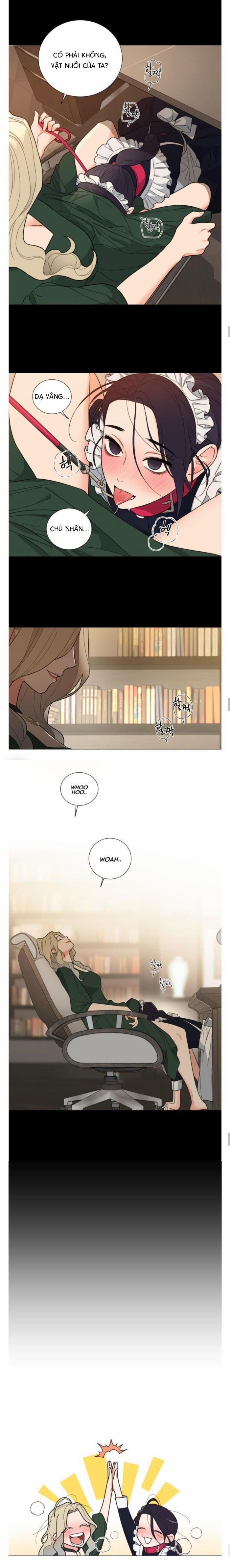 ĐỒ CHƠI VÀ QUÀ 11 trang 10