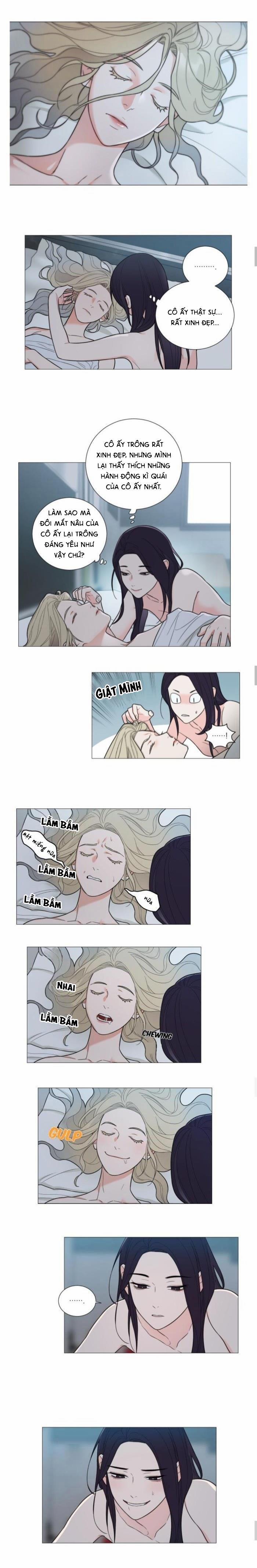 ĐỒ CHƠI VÀ QUÀ 12 trang 5