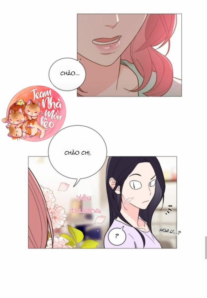 ĐỒ CHƠI VÀ QUÀ 14 trang 17