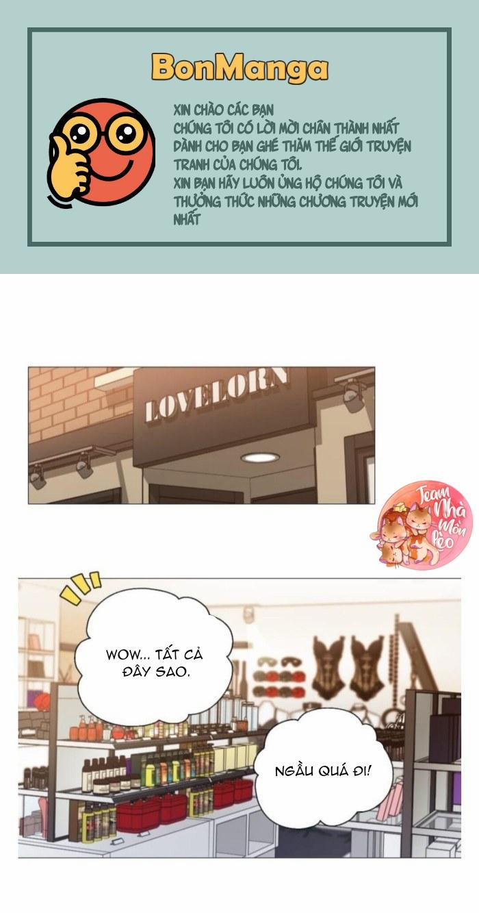 ĐỒ CHƠI VÀ QUÀ 14 trang 2