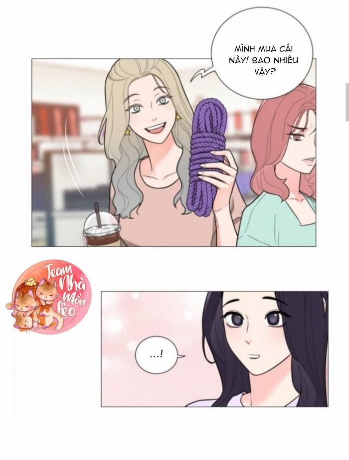 ĐỒ CHƠI VÀ QUÀ 14 trang 5