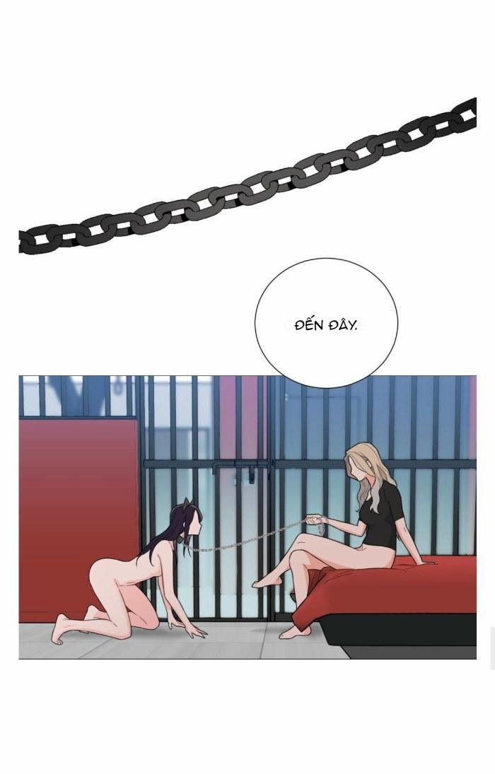 ĐỒ CHƠI VÀ QUÀ 16 trang 20