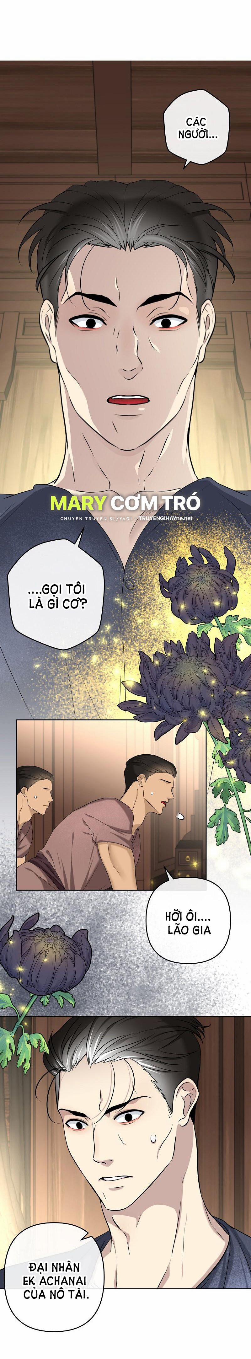 Đóa Hoa Batavia Của Tôi 1.1 trang 1