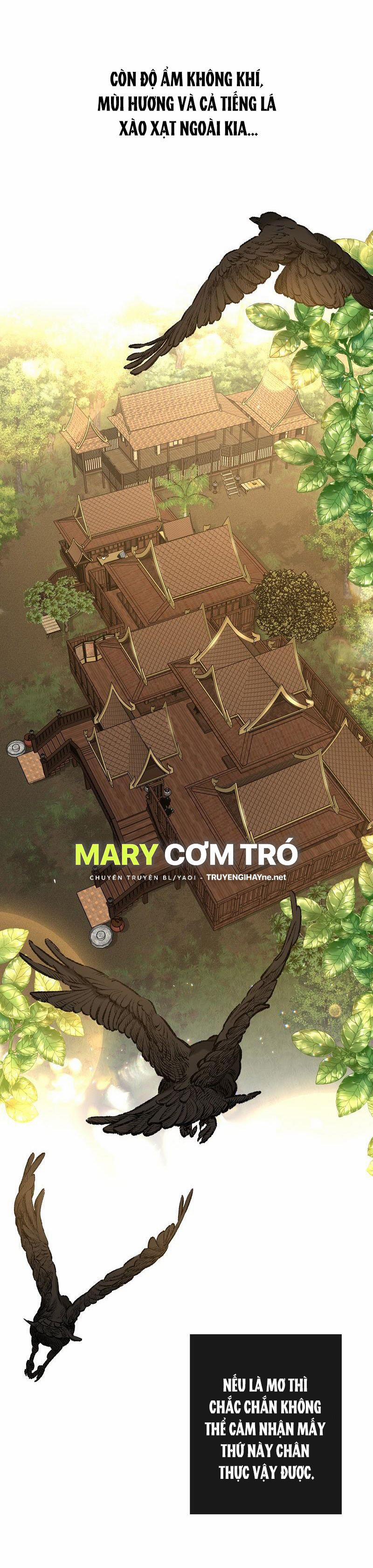 Đóa Hoa Batavia Của Tôi 1.1 trang 3