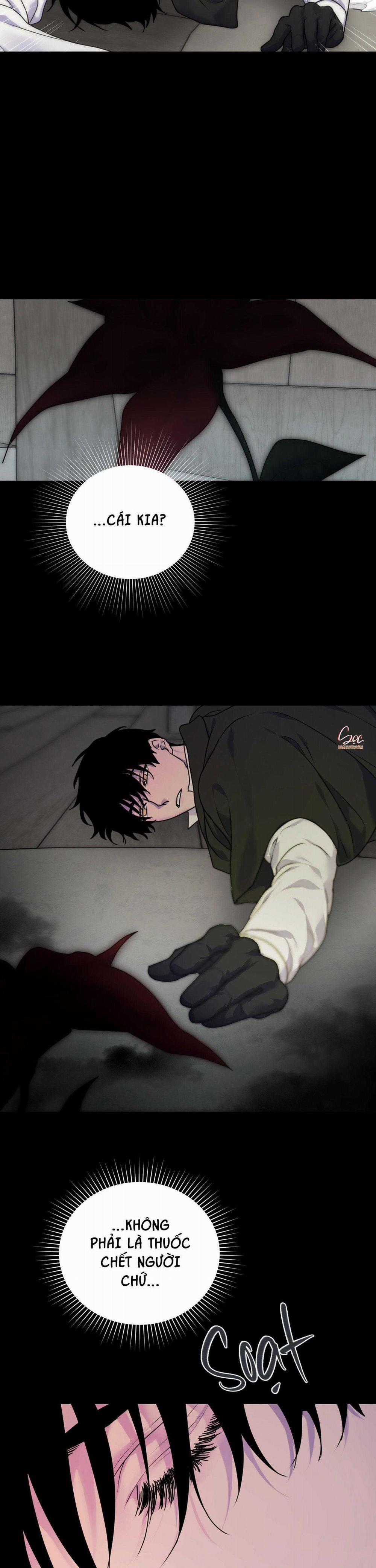 Đóa Hoa Của Alosha 22 trang 17